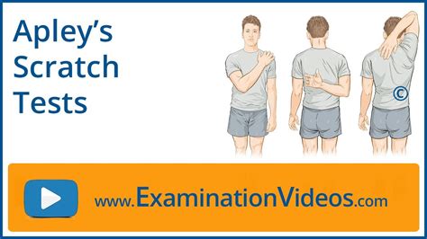 back scratch test|Appendix F Back Scratch Test .